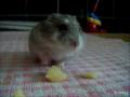 mon bonny je t'aime ! 