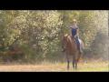 Galop dans le champ cet été avec ma belle Cowgirl...