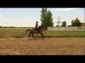 Relief Ina Star- Nessie ( Fille de mon Shady Ina...