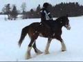 balade par une douce journée d'hiver