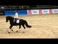 clinic Edward Gall 2011