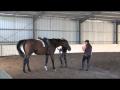 Wow...c'est une révélation pour moi Manolo Mendez Dressage...juste...