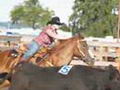 team penning beau  montage