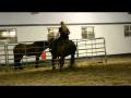 reining, montage amateur de Annie Decroix...