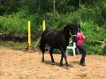 mes debut avec flicka :) 