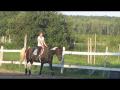 Premier cours de saut. Commentaires sur ma...