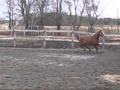 je taimme xx