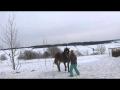 J'ai appris a mon cheval a m'imiter :P voila ce que sa donne ! sa sen...