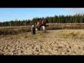 Retour au course pour Zephyr! Cheval de...