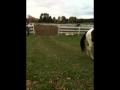 Concours (DASH 2014)