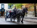 Calèches Québec