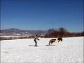 Ski Joering avec Poney :)
