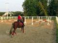 Petit parcours de sauts avec mon gros poney, ce...