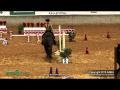Parcours d'obstacle western. J'adore le galop ! 
