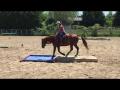 Cowboy Extrême amateur du Ranch S Martin, 25 juin 2016 ! 4e sur une...
