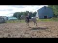 Notre premier galop ensemble ...&#9829; mon petit cheval de rêve...
