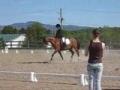 Moi et P&eacute;gase mon super pouney de dressage en...