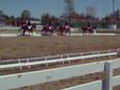 Carouselle Dressage Annie Marion