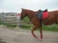 un vrai pot dcolle!!! lol