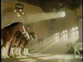 Annonce Budweiser 2