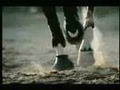 Pub Rolex avec Rodrigo Pessoa... J'aime beaucoup ce style de pubs,...