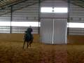 Sur Symphonie des Pins