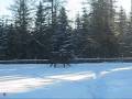 Mon cheval Chips et moi lors d'une journée d'hiver