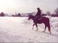 Un petit montage sur mon cheval, Redbull