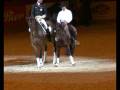 Dressage et Reining