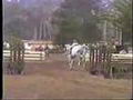 Beaux parcours hunter