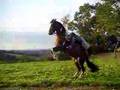 wow est bonne avec sont cheval elle!!! quest que...