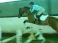 Bailey's et moi: 3 bounds + gymnastic. Ça s'en...
