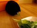 Lapin aux l&eacute;gumes, repas de Ti-Pou, 3