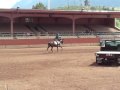 Ocala 2 show plus tard elle apprend tre vite!!!!