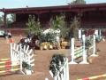 Ocala dans le jump-off de son 3 ieme show