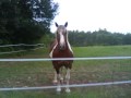 Mon Gros Que J'aiime Tant ♥