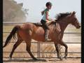 En Mémoire D'une Cavalière Hors-Pair