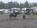 Exhibition, Falardeau 2009