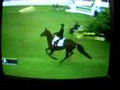 Il saute vraiment bien ce Cheval! :O C'est genre l'ann&eacute;e pass&eacute; je...