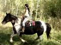 un autre saut encore pour le fun lol!