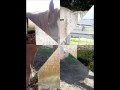 (R.I.P 28 septembre 2009 ) il Me Manque Énormément 