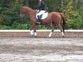 Mon amie Jade et ma jument au petit concours...