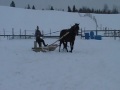Ma jument avec une sleigh (pas fini et faite maison) pour la 1e fois...