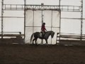 Le d&eacute;but de d&eacute;bloquage d'allongements de mon cheval! D&eacute;soler pour la...