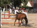 Chutes a cheval 2