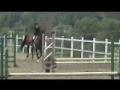 Moi & ma jument depuis notre debut :)