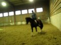 Fiona & moi en dressage!  Mon troixième cours de...