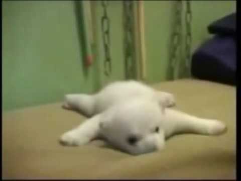 vraiment trop mignon