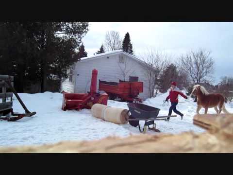 Truc amusant à faire avec nos chevaux, ça nous met en forme en même temps XD