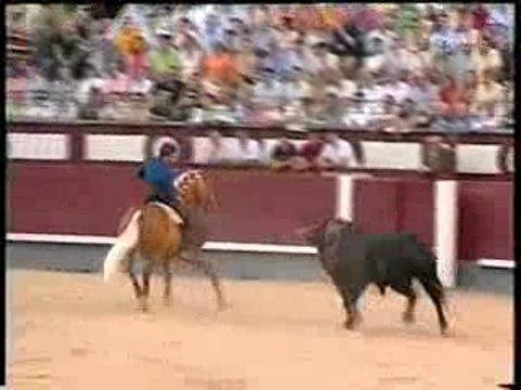 Merlin un cheval portuguais qui esquive le taureau,on croirait presque que le cheval prend plaisir a l'esquiver,la...